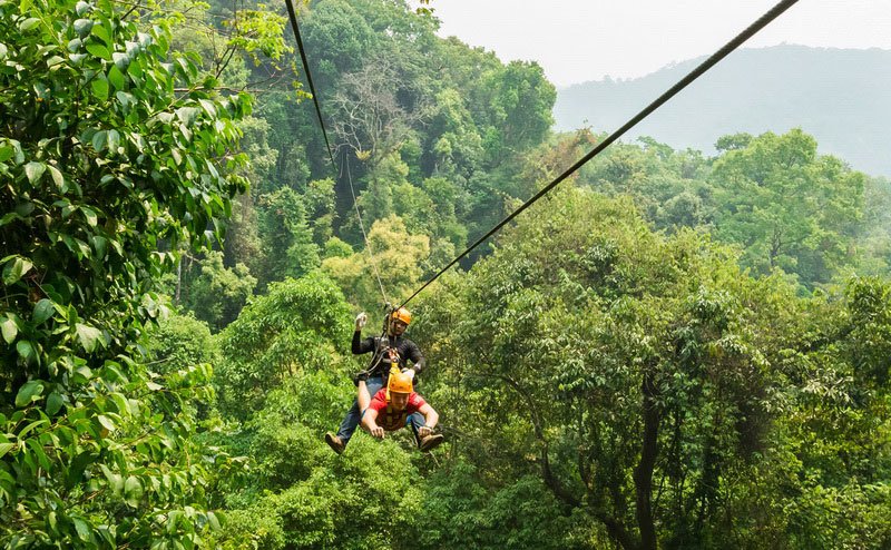 A person zip-lining through the dense jungle canopy, with a glimpse of the ocean in the background