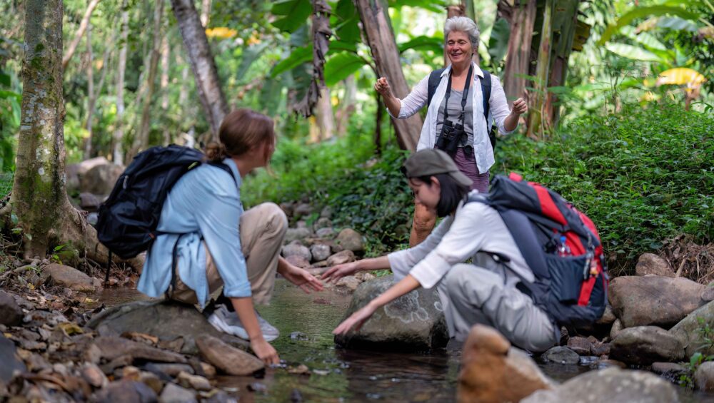 phuket jungle tour